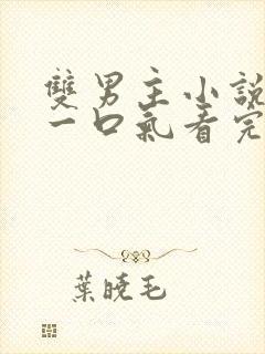 双男主小说推文一口气看完甜文