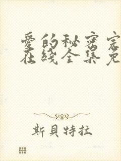 爱的秘密完整版在线全集免费观看