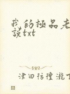 我的极品老婆小说txt