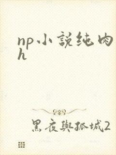 np小说纯肉高h