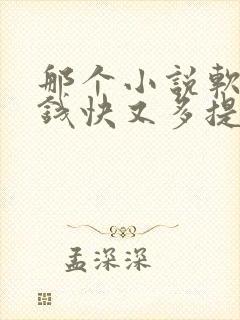 那个小说软件赚钱快又多提现快