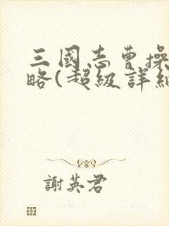 三国志曹操传攻略(超级详细)