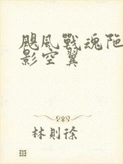 飓风战魂陀螺暗影空翼