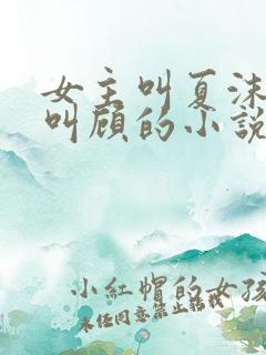 女主叫夏沫男主叫顾的小说