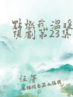 点燃我温暖你电视剧第23集