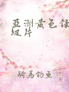 亚洲黄色录像特级片