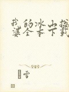我的冰山总裁老婆全本下载