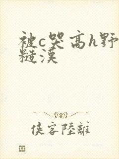 被c哭高h野外糙汉