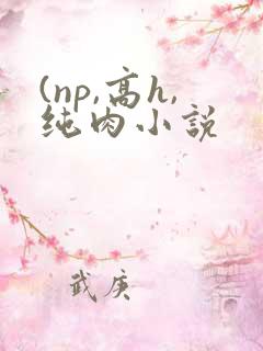 (np,高h,纯肉小说