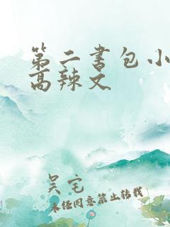 第二书包小说网高辣文