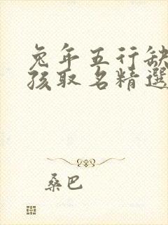 兔年五行缺火男孩取名精选