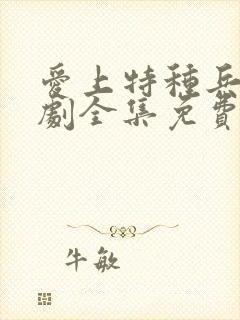 爱上特种兵连续剧全集免费观看