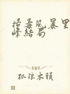 扫毒风暴里林强峰结局