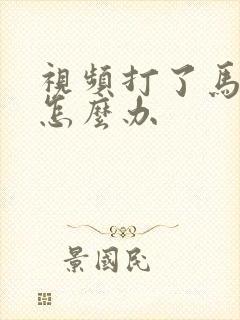 视频打了马赛克怎么办