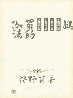 伽罗ちゃんが腿法的