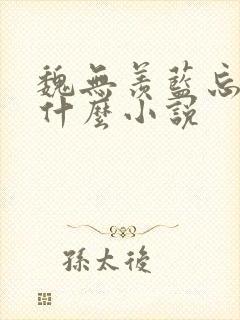 魏无羡蓝忘机是什么小说