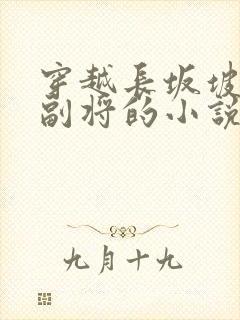 穿越长坂坡赵云副将的小说