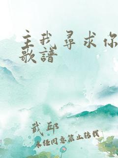 主我寻求你歌词歌谱