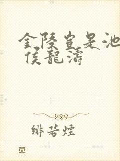 金陵岂是池中物 侯龙涛