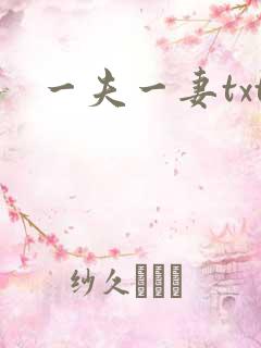 一夫一妻txt