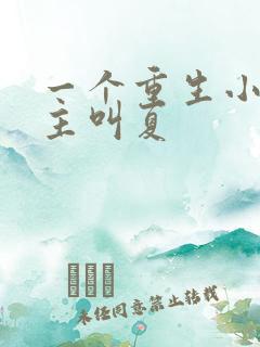 一个重生小说女主叫夏