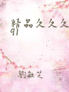 精品久久久久久91