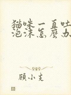 猫咪一直吐白色泡沫怎么办