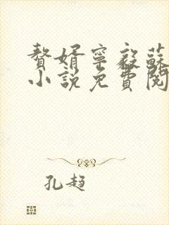 赘婿宁毅苏檀儿小说免费阅读无广告