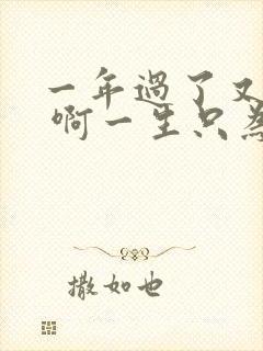 一年过了又一年 啊一生只为这一天