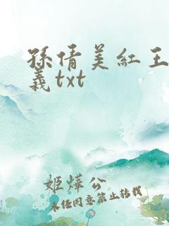 孙倩美红王申高义txt