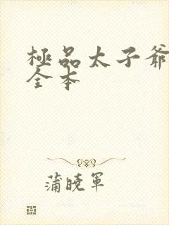 极品太子爷下载全本