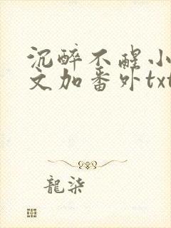 沉醉不醒小说全文加番外txt