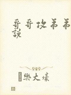 哥哥攻弟弟受小说