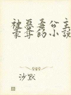 被恶毒公主强取豪夺的小说