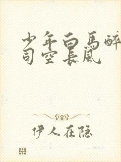 少年白马醉春风司空长风