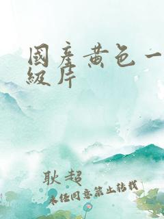 国产黄色一级一级片