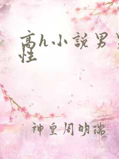 高h小说男男双性