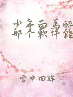 少年白马醉春风哪个软件能看