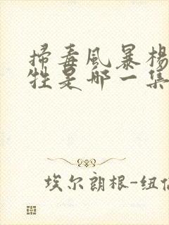 扫毒风暴杨威牺牲是哪一集