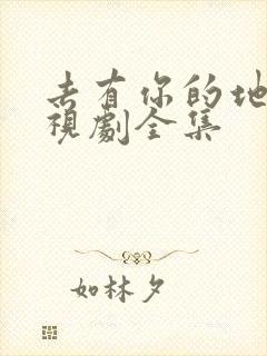 去有你的地方电视剧全集