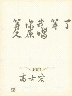 等你我等了这么久原唱