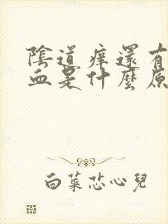 阴道痒还有点出血是什么原因