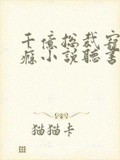 千亿总裁宠妻上瘾小说听书