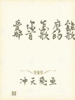 爱你怎么能了是哪首歌的歌词