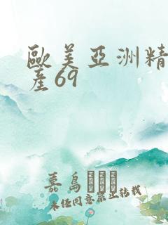 欧美亚洲精品国产69