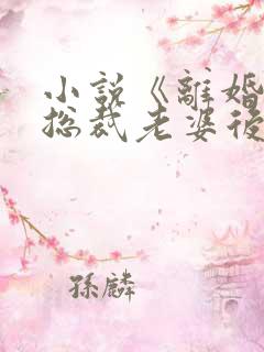 小说《离婚后,总裁老婆后悔了》