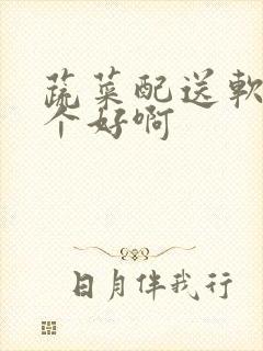 蔬菜配送软件哪个好啊