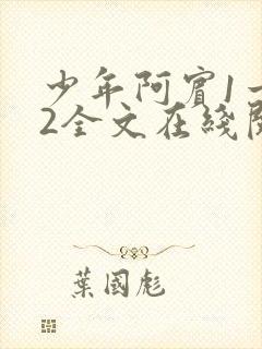 少年阿宾1一72全文在线阅读