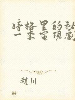 暗格里的秘密第一季电视剧免费观看