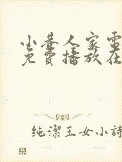 小巷人家电视剧免费播放在线观看全集